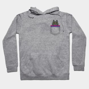 Bisexual cat in a pocket Hoodie